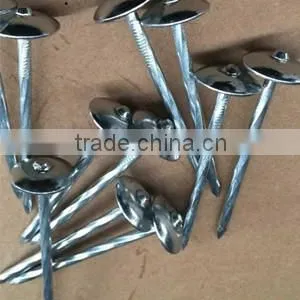 BWG9*2.5''umbrella Head Roofing Nails With Twist Shank thumbnail-3