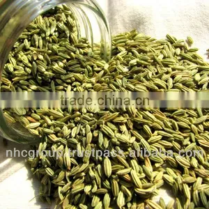 Fennel Seed thumbnail-1