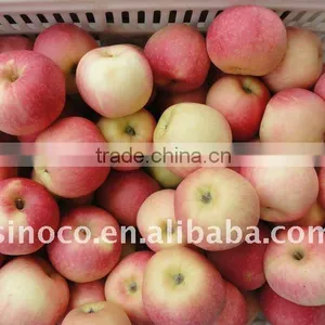 China Fresh Royal Gala Apples 2015 Crop thumbnail-1