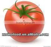 Canned Food Canned Tomato Paste in Metal Tins Packaging Canned Vegetable thumbnail-1