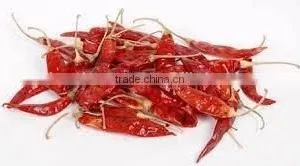 Indian Red Chily thumbnail-4