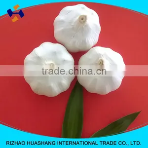 High Quality Pure White Fresh Garlic Size4.0cm thumbnail-3