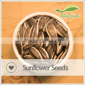 Sell Organic Chinese Sunflower Seeds Long Shape thumbnail-6
