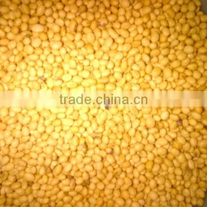 Soya Beans thumbnail-3