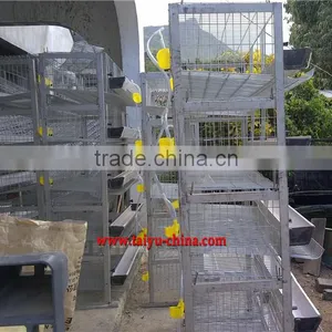Professional Quail Cage Design thumbnail-1