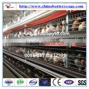 Outdoor Chicken House thumbnail-4