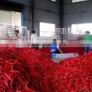 Hot Air Circulation Industrial Pepper Drying Machine thumbnail-5