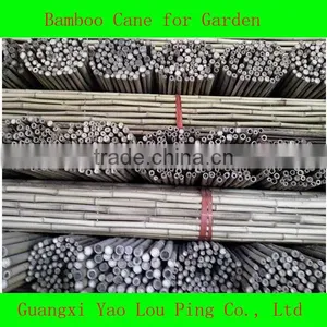 Fishing Pole Walking Tonkin Cane Bamboo thumbnail-1