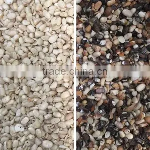 2017 Intelligent Image Double Side Ccd Camera Bean Sorting Machine thumbnail-2