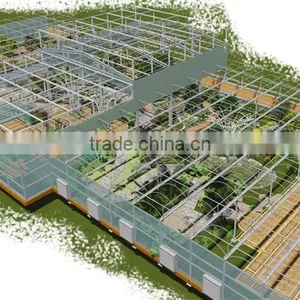Multi-Span Greenhouse With Aquaponics Growing Systems For Agricultural Planting thumbnail-4