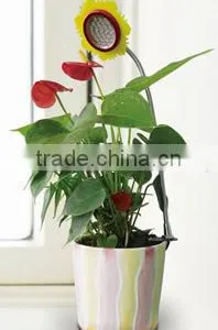 3w Desktop LED Grow Light for Indoor Flower Pot thumbnail-2