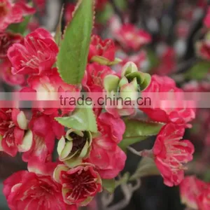 Cherry Blossoms Artificial Floral Tree Decorations,Fake Cherry Blossom Tree For Sale thumbnail-3
