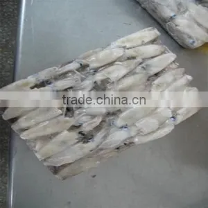 Hot Sale Whole Round Frozen Baby Squid thumbnail-5
