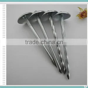 Umbrella Head Roofing Nail of 50kg Gunny Bag thumbnail-5