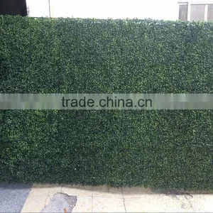 Real Touch Artificial Mangosteen Lawn thumbnail-4
