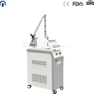 Ruby Laser Tattoo Removal Machine Freckles Pigment Age Spots Removal Beauty Machine thumbnail-5