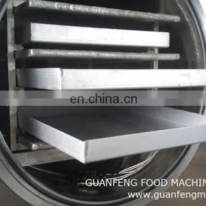 Vacuum Freeze Dryer Dryer Equipment thumbnail-5