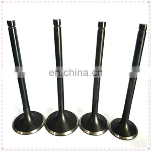 Tb48 TB48de Premium 21-4N Exhaust Intake Material Higher Flow Engine Valve for Nissan Patrol 4.8 Bonze Guides Piston Kits thumbnail-5