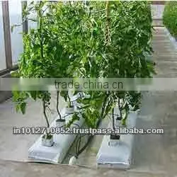 PLANT GROWBAGS thumbnail-1