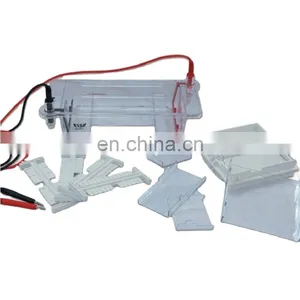 Best Seller Gel Electrophoresis Virtual Lab thumbnail-1