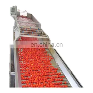 Factory Price Fresh Tomato Paste Processing Machine thumbnail-1