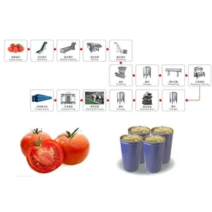 Shanghai Complete Tomato Paste Processing Equipment/Machine for Concentrating Fruit & Vegetable Products thumbnail-6