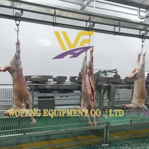 Turnkey Slaughterhouse Solution Sheep Abattoir Slaughtering Line Equipment Goat Slaughter Machine thumbnail-3