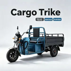 Factory Direct Electric Three Wheeler Cargo Passenger Dual Use Low Noise Stable Driving Electric Tricycle With 12 Months Warranty thumbnail-5