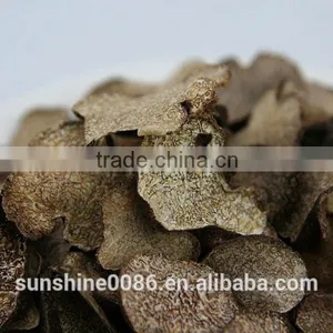 High Quality Black Truffle Mushrooms Mushrooms thumbnail-1