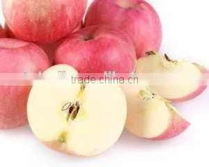 Top Quality Fresh Red Fuji Apple thumbnail-5
