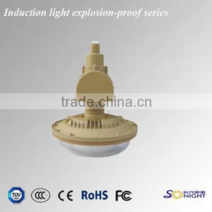 40w 50w 60w Induction Tri-proof Lights thumbnail-3