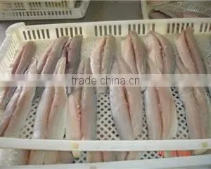 Deep Processed IQF Frozen Spanish Mackerel Fillet thumbnail-2