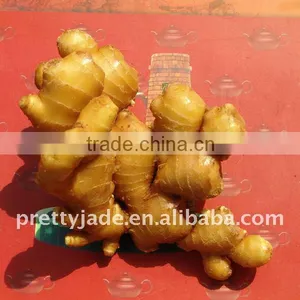 Chinese Fresh Mature Ginger thumbnail-1