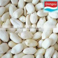Chinese Blanched Peanuts Kernel thumbnail-1