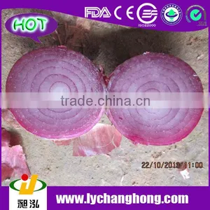 Fresh Red Onion Supplier thumbnail-1
