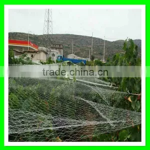 Virgin HDPE High Stretch Woven Bird Mesh Anti Bird Netting for Sale thumbnail-3