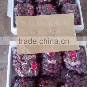 Red Grape 2016 Grop thumbnail-1