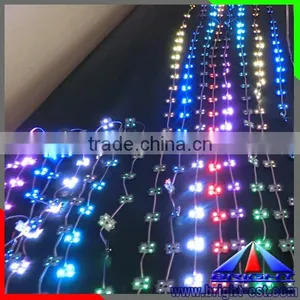 CE RoHs DC12V RBG LED Strip , 14 Pixel per Meter LED Strip Light , Dmx Rgb Led Light thumbnail-4