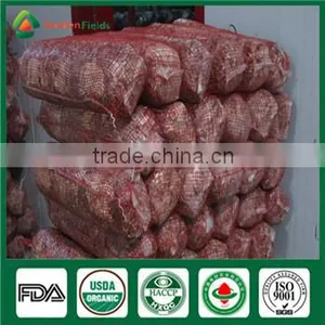 Wholesale Bulk Frozen China Shiitake Mushroom Spawn Log Bag Growing Kit thumbnail-2
