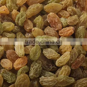 Sun Dried Raisin, New Crop 2015 thumbnail-5