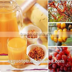 Best Price of 100% Nature Green Seabuckthorn Juice Concentrate thumbnail-1