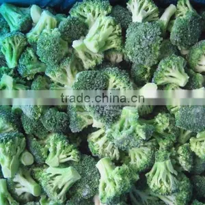 IQF Broccoli, Frozen Broccoli, Frozen Vegetables thumbnail-3