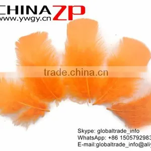 CHINAZP Natural Plumage Bulk Dyed Orange Turkey T-Base Body Feathers for Parties Decorations thumbnail-2