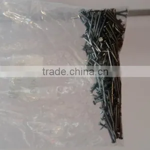 Black Iron Nail/black Common Nails/dubai Wire Nails thumbnail-3
