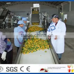 Complete Set of Mango Juice Production Line thumbnail-1