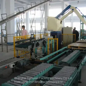 Robot Palletizing Machine thumbnail-4