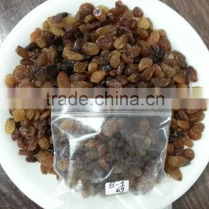 Black Raisins thumbnail-3