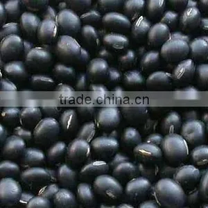 Black Matpe Whole Black Matpe Black Matpe Beans Split Matpe Split Matpe Where to Buy in Belgrade Black Matpe Urid Sabut Urid Dha thumbnail-1