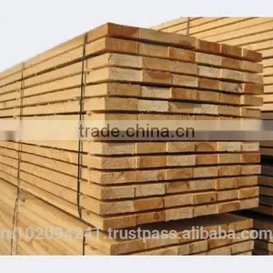 Siberian Cedar Wood thumbnail-1