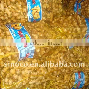 Air Dry Ginger thumbnail-1